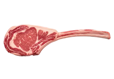 Imagen PNG para descargar